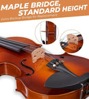 Vangoa Violin 4/4 Full Size Set Fiddle, Handcrafted Starter Acoustic Violins Kit with Solid Wood Side Board, Lightweight Hard Case for Beginners, Teens, Child, Kids Age 12+, Adults, Right Handed by TinyTreasures Baby Boutique
