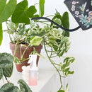 Watering Can for Indoor House Plants - Cute Decorative Metal Gardening Small Water Can for Houseplants & Flowers with Long Spout - 1.5L 51floz 0.4 Gallon (Hummingbird Black) by GreenHaven Gardens