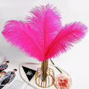 THARAHT Hot Pink Ostrich Feathers 24pcs Natural Bulk 10-12Inch 25cm-30cm for Crafts Wedding Party Centerpieces Easter Gatsbi and Home Decoration Feathers by CozyNest Decor