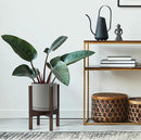 D'vine Dev Ceramic Planter with Walnut Color Stand - 8 Inch Modern Round Flower Pot with Wood Planter Holder, Grey, 55-B-Y-3 by CozyNest Decor