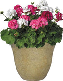 Classic Home and Garden Honeysuckle Planter, Patio Pot, 13" Fossil Stone (One Pack) by GreenHaven Gardens