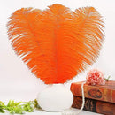 THARAHT Orange Ostrich Feathers 12pcs Large Natural Bulk 12-14Inch 30cm-35cm for Wedding Party Centerpieces Halloween and Home Decoration Feathers by CozyNest Decor