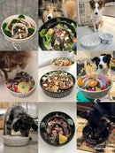 Ceramic Slow Feeder Dog Bowls Elevated, 3 Cups Raised Dog Bowl with Wooden Stand for Medium Large Breed to Slow Down Eating, Puzzle Food Bowl,Black by CozyNest Decor