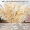 40" 33PCS Dried Pampas Grass Decor Tall,Large Natural Beige pompas Grass Tall Pampas Grass for Floor Vase,Wedding,Party,Farmhouse,Boho Home Decor,and Creating a Bohemian Ambiance by CozyNest Decor
