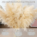 40" 11 PCS Dried Pampas Grass Decor Tall,Large Natural Beige pompas Grass,Tall Pampas Grass for Floor Vase,Wedding,Party,Farmhouse,Boho Home Decor,and Creating a Bohemian Ambiance by CozyNest Decor