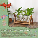 YIBOT Plants Propagation Stations,Desk Plant Terrarium with Retro Wooden Stand,Plant Lover Gifts for Women for Hydroponics Plants Home Garden Wedding Decor(3 Bulb Vase) by GreenHaven Gardens