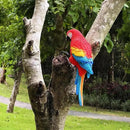 Realistic Parrot Sculpture Resin Hanging Parrots Garden Statues Lifelike Bird Figurines Landscape Ornament Patio Yard Lawn Figurine Tree Decor, Outdoor Garden Wall Statues (Red) by GreenHaven Gardens
