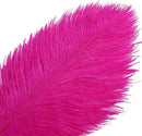 THARAHT Hot Pink Ostrich Feathers 12pcs Large Natural Bulk 16-18Inch 40cm-45cm for Wedding Party Centerpieces Easter Gatsbi and Home Decoration Feathers by CozyNest Decor