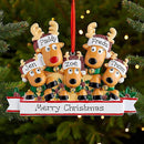 Personalized Christmas Ornaments 2025 Family of 2/3/4/5/6/7/8 Deer Christmas Ornaments Custom Name Customized Gifts for Xmas Tree,Family of 2 by TinyTreasures Baby Boutique