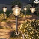 XMCOSY+ Solar Lights Pathway Outdoor - 2 LED Modes 10/25 LM Solar Powered Yard Garden Lighting, Waterproof IP65 Glass Stainless Steel Landscape Lights for Driveway Walkway Sidewalk Decor (Warm White) by GreenHaven Gardens