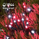 JMEXSUSS 2 Pack Red and White Solar Christmas Lights, Total 400 LED 151FT Solar String Lights Outdoor Waterproof, 8 Modes Solar Lights for Outside Tree Patio Christmas Decorations by GreenHaven Gardens