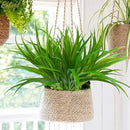 6Pcs Artificial Grass Fake Plants 17.3in 16 Leaves Outdoor Fake Grass UV Resistant Greenery Plastic Plants for Home Window Garden Office Patio Hanging Planter Pathway Front Porch Décor by GreenHaven Gardens