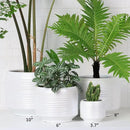 8 Inch + 6 Inch Ceramic Plant Pots Indoor with Drainage – Flower Pot Set, Decorative Indoor Planters for House Plants and Garden Use by CozyNest Decor