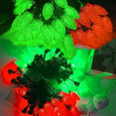 2-Pack C9 Christmas String Lights, 100LED 66FT Waterproof Connectable Green Wire, Plug in Led Outdoor/Indoor Fairy String Lights, for Xmas Tree Garden Patio Wedding Party Decorations (Red and Green) by GreenHaven Gardens