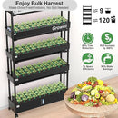 Growell Large Hydroponics Growing System Kit, 120 Pods Vertical Hydroponic Garden with 2 Light Modes Grow Light, Auto Circulating Water System, 48L Indoor Gardening System for Herb Vegetable Fruit by GreenHaven Gardens