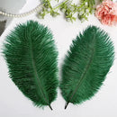 THARAHT 24pcs Ostrich Feathers Natural Bulk 10-12Inch 25cm-30cm for Wedding Party Centerpieces Easter Gatsby Flower Arrangement and Home Decorate Ostrich Feathers,Cyan by CozyNest Decor