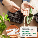 10 Kit Non-GMO Growing into Thyme, Lavender, Chamomile, Dill, Chives, Cilantro, Rosemary, Basil, Parsley, Sage Indoor/Outdoor for Kitchen Windowsill Gardening Gift by GreenHaven Gardens