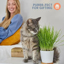 The Cat Ladies Cat Grass Growing kit with Organic Cat Grass Seed, Soil and Two Ceramic Planters with Bamboo Trays Natural Hairball Remedy by GreenHaven Gardens