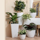 LA JOLIE MUSE 14.2/11.3/8.6 Inch Planters,Indoor/Outdoor White Planters Set of 3,Plant Container with Drain Holes,Flower Pots for Patio and Deck by GreenHaven Gardens