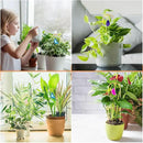 Zopeal 4 Pack Small Metal Plant Trellis Indoor 17 Inch Mini Gold Garden Trellis Potted Plant Support Stake Houseplant Trellis with Agate for Indoor Outdoor Climbing Plants Vine Flower Pot Plant Decor by GreenHaven Gardens