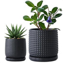 D'vine Dev 6 Inch 4 Inch Ceramic Indoor Planter Pots with Drainage Hole and Saucer, Beaded Design Flower Pots, Set of 2, Matte Black, 27-D-U-6 by GreenHaven Gardens