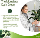 Plant Support Stakes, Stem Holder Structures for Indoor & Outdoor Use, Garden Accessories for Climbing & Potted Plants, Trellis Alternative - Monstera (Dark Green), 10 Pack, 22" L, Original by GreenHaven Gardens