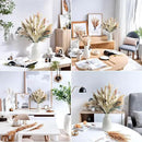 126pcs Dried Pampas Grass Decorations, Dried Flowers, Dried Bouquet in Vase, Reed Grass Bouquet for Boho Floral Wedding, Rustic Farmhouse Decor. (Vase Not Included) by CozyNest Decor