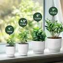 T4U 7 Inch Self Watering Pots for Indoor Plants, 4 Pack White Plastic Flower Pots for All House Plants, Flowers, African Violets by GreenHaven Gardens