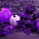 QITONG 4 Pack Purple Solar Fairy Lights, Each 33ft 100 LED Solar Christmas Lights, 8 Modes Solar Twinkle String Lights by GreenHaven Gardens