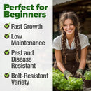 HOME GROWN 𝗨𝗦𝗔 𝗣𝗥𝗘𝗠𝗜𝗨𝗠 500+ Cilantro Seeds for Planting Indoors or Outdoors - Heirloom 𝗡𝗢𝗡-𝗚𝗠𝗢 Coriander Seeds, Grow Your Own Cilantro Plant - Culinary Herb Seeds for Your Herb Garden by GreenHaven Gardens