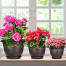 Plastic-Plant-Flower-Planters-10 Inch with Drainage Hole & Saucer, 3 Packs Lightweight Small Resin Flower Pot Indoor Outdoor, Retro Antique Imitation Decorative Garden Containers Sets for Houseplants by CozyNest Decor
