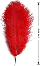 THARAHT Red Ostrich Feathers 12pcs Large Natural Bulk 14-16Inch 35cm-40cm for Wedding Party Centerpieces Halloween and Home Decoration Feathers by CozyNest Decor