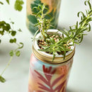 Modern Sprout Mason Garden Jar - Self-Watering Hydroponics Growing System Kit with Organic Herb Seeds - Jar Planter for Indoor Herb Garden - Seed Starter Kit - Home Decor & Gifting - Rosemary by GreenHaven Gardens