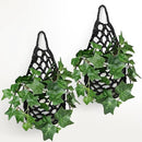 2PK Wall Planters for Indoor Plants, Macrame Plant Hanger | Wall Planter, Plant Hanger, Hanging Planter (2PK, for 6 inch Pot) by CozyNest Decor