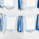 One Silly Goose 1st Birthday Photo Banner Garland from Newborn to 12 Months Paper Photo Banner with Gradient Blue Ribbon for Monthly Milestones Baby Boy First Birthday Party Decorations Supplies by TinyTreasures Baby Boutique