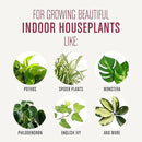 Miracle-Gro Houseplant Potting Mix: Fertilized, Perlite Soil for Indoor Gardening, Designed to Be Less Prone to Gnats, 4 qt. by GreenHaven Gardens