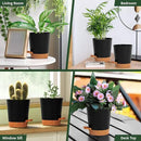 4 inch Small Plant Pots for Outdoor Indoor Plants, 5 Pack Planters with Drainage Holes and Tray, Small Self Watering Pots for Succulent,Cactus, Aloe and Other Plants (Black) by GreenHaven Gardens