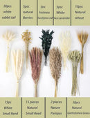 126pcs Dried Pampas Grass Decorations, Dried Flowers, Dried Bouquet in Vase, Reed Grass Bouquet for Boho Floral Wedding, Rustic Farmhouse Decor. (Vase Not Included) by CozyNest Decor