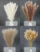 xin's convey 110pcs Dried Pampas Grass Decoration, Dried Flower Bouquet in Vase, Reed Grass Bouquet for Boho Floral Home, Wedding Party Centerpiece, Rustic Farmhouse Decoration.(Brown) by CozyNest Decor