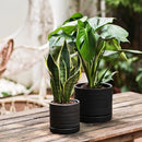 6 + 8 Inch Plant Pots, Ceramic Planter Pot with Drainage Hole & Saucer, Indoor/Outdoor Cylinder Round Planter Pot, Matte Black by GreenHaven Gardens