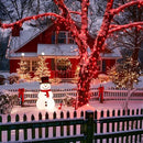 JMEXSUSS 2 Pack Red Solar String Lights, Total 400 LED 151FT Red Solar Lights Outdoor Waterproof, 8 Modes Christmas String Lights for Outside Yard Patio Garden Tree Decorations by GreenHaven Gardens