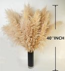 10 PCS 40" Tall Pampas Grass Stems in Natural Beige, Add a Boho Touch to Your Space—Pompas Grass Ideal for Floral Arrangements, Floor Vases, Weddings, and Creating a Bohemian Ambiance at Home. by CozyNest Decor