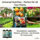 Organic Liquid Plant Food for Indoor Houseplants – All Purpose Fertilizer for Potted Plants, Vegetables, Succulents, Orchids, Roses – Miracle Growth with Mycorrhizae (32 oz) by GreenHaven Gardens
