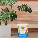Aroid Plant Potting Soil Mix (8 Quarts), for Pothos Devil's Ivy, ZZ Plant, Chinese Evergreen, Dumb Cane, Philodendron, Syngonium, Alocasia, Colocasia Etc. by GreenHaven Gardens