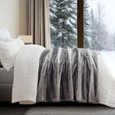 Ultra Soft Luxury Fluffy Mink Faux Fur Throw Blanket, Thick Warm Fall Winter Blankets for Bed, Couch, Cozy Plush Reversible Blanket for Chair, Sofa (Ombré Silver Onyx, 60"x80") by CozyNest Decor