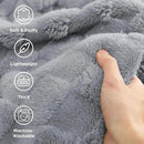 Bedsure GentleSoft Blankets Queen Size for Bed - Super Soft Cozy Blanket for Women Men Girls, Large Fuzzy Fleece Throw for Bedroom Decor, Silver Grey, 90x90 Inches by CozyNest Decor