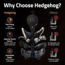 Hedgehog Hanger Shoe Dryer and Deodorizer for Sneakers, Gloves & Mittens – Rapid 4 Pair Shoes Dryer with Ionic i3 Turbo Technology, Turbocharged Drying, Silent & Tornado Mode, Adjustable Heat, Black by CozyNest Decor