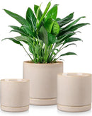 vancasso Ceramic Plant Pots, 3 Piece Planters for Indoor Plants, 4.25+5.25+6.25 Inch Flower Pots with Drainage, Plant Pots Indoor for Succulent, Pothos, Snake Plant and Money Tree, Etc (Gray) by GreenHaven Gardens