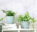 6 Inch Retro Ceramic Planter Set of 2 with Drainage Hole and Saucer for Plants, Indoor-Outdoor Garden Pots for Succulent, Orchid, and Flower (Fits Inner Pots Up to 5 Inches, Retro Green) by CozyNest Decor
