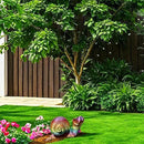 Evil Turtle Penis Outdoor Garden Statues, Funny of Tortoise Sculptures Yard Decorations Lawn Ornaments Decor Inappropriate Weird Gifts for Women Housewarming Mother's Day (Snail) by GreenHaven Gardens